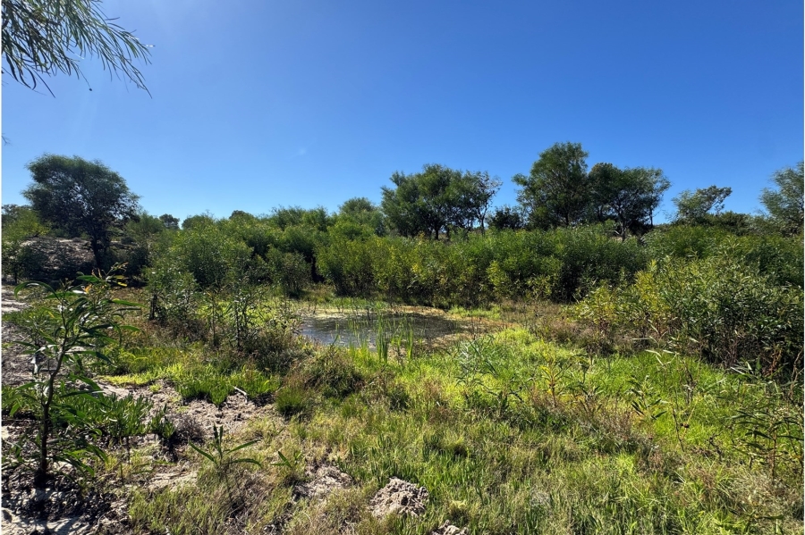 0 Bedroom Property for Sale in Yzerfontein Rural Western Cape